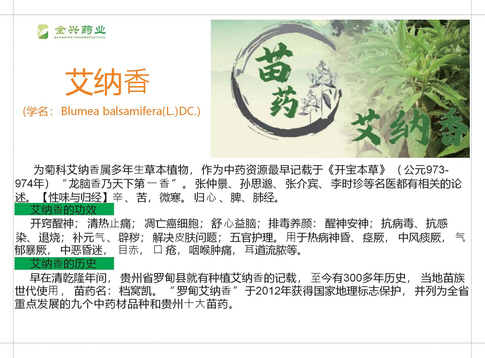 全兴药业艾纳香-17